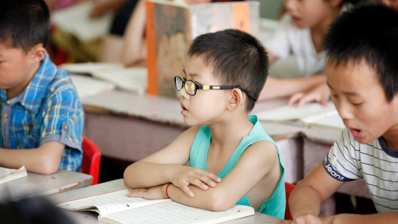 glasses