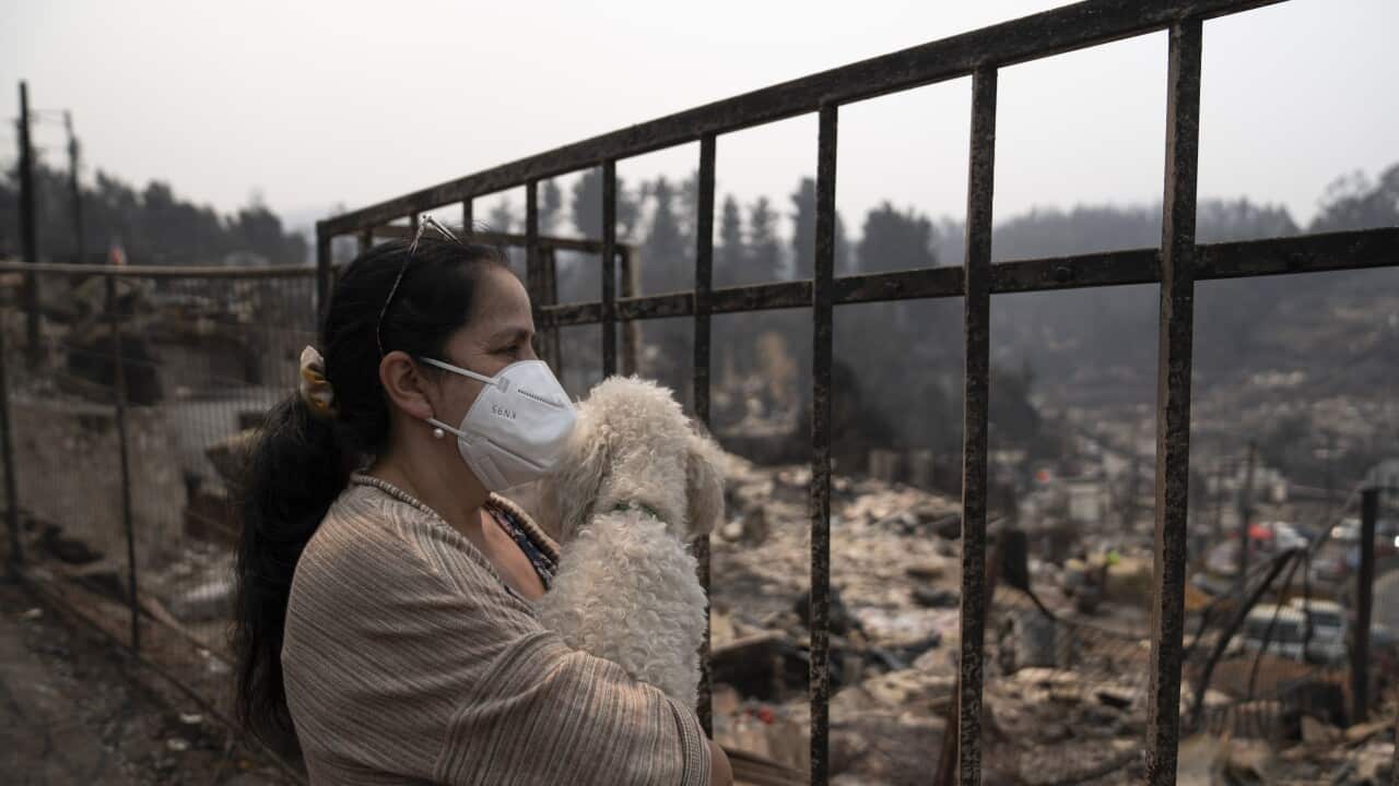 Image for read more article ''