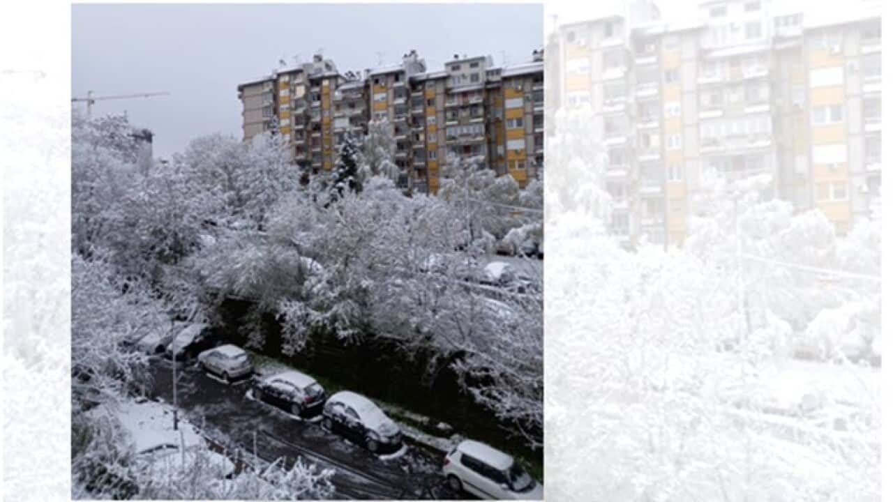 Beograd