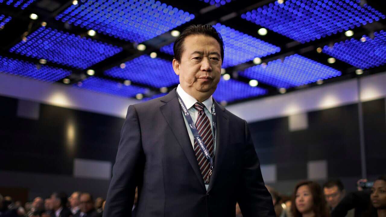 Interpol President, Meng Hongwei, on July 4, 2017.