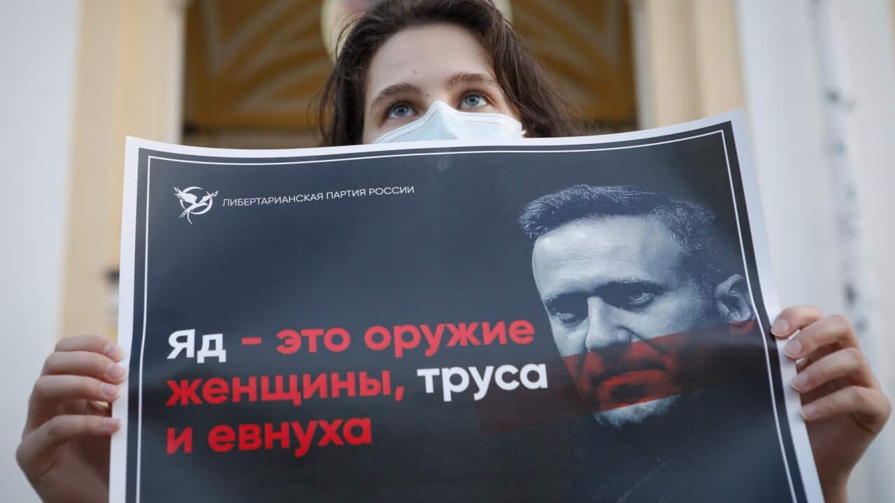 A protester demonstrates in support of Russian opposition leader Alexei Navalny in St. Petersburg, Russia.