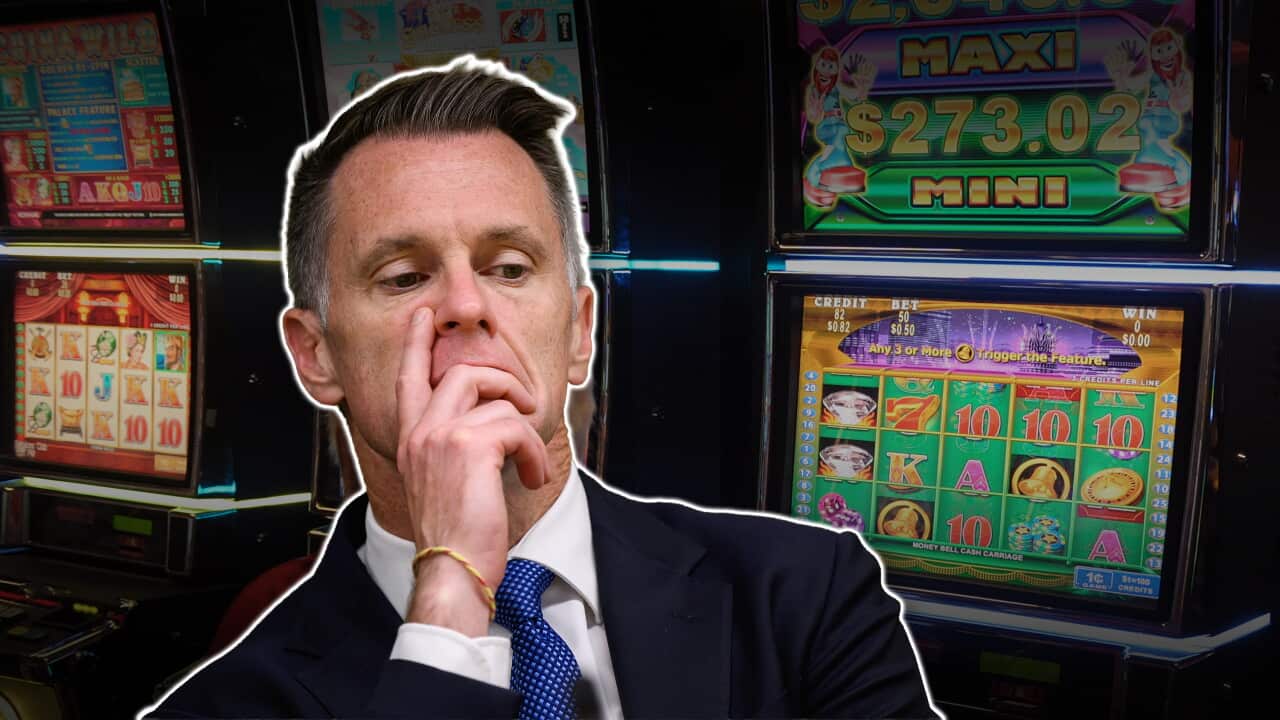 GAMING NSW GRAPHIC