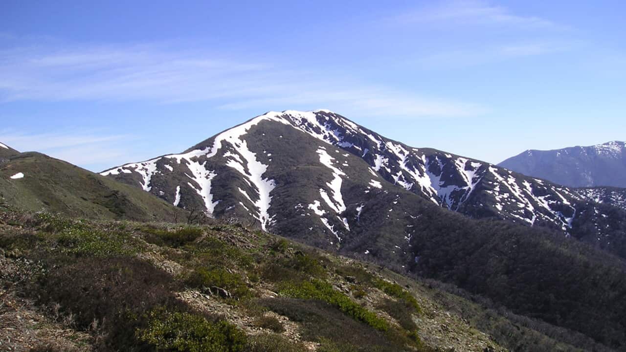 20050524000014082616-original.jpg