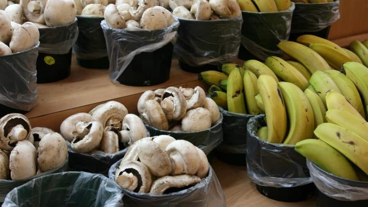 mushrooms and bananas