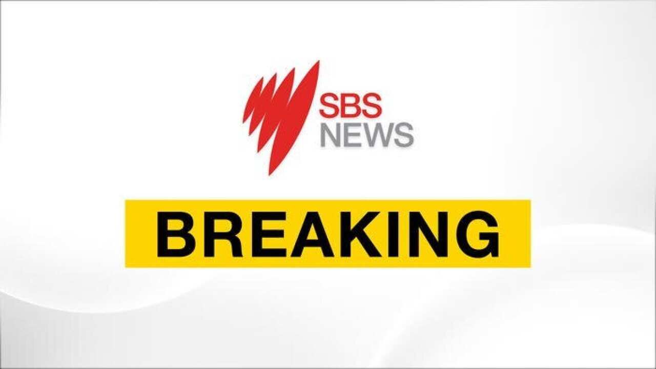 SBS News