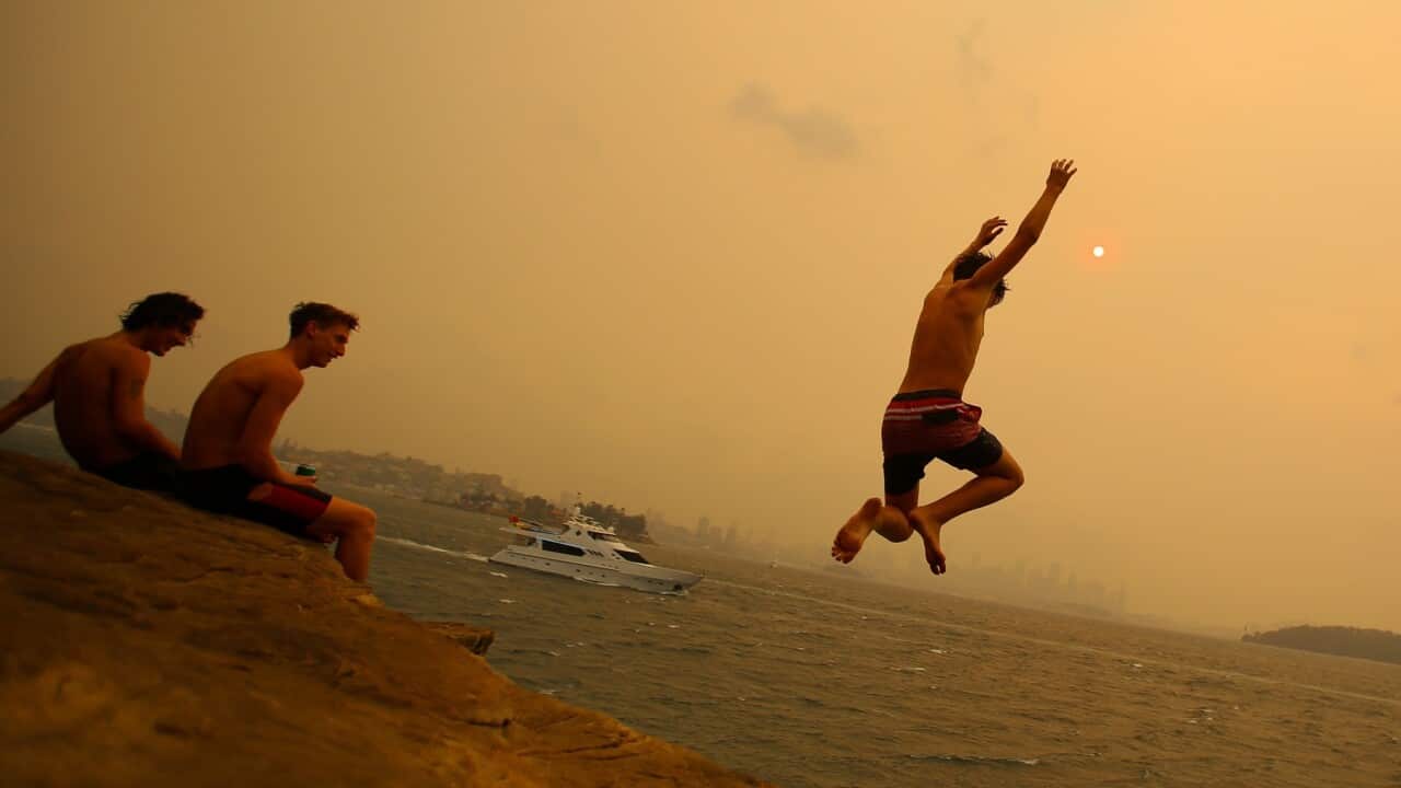 Beachgoers jump in the water during hot weather, amid the bushfires haze in Sydney
