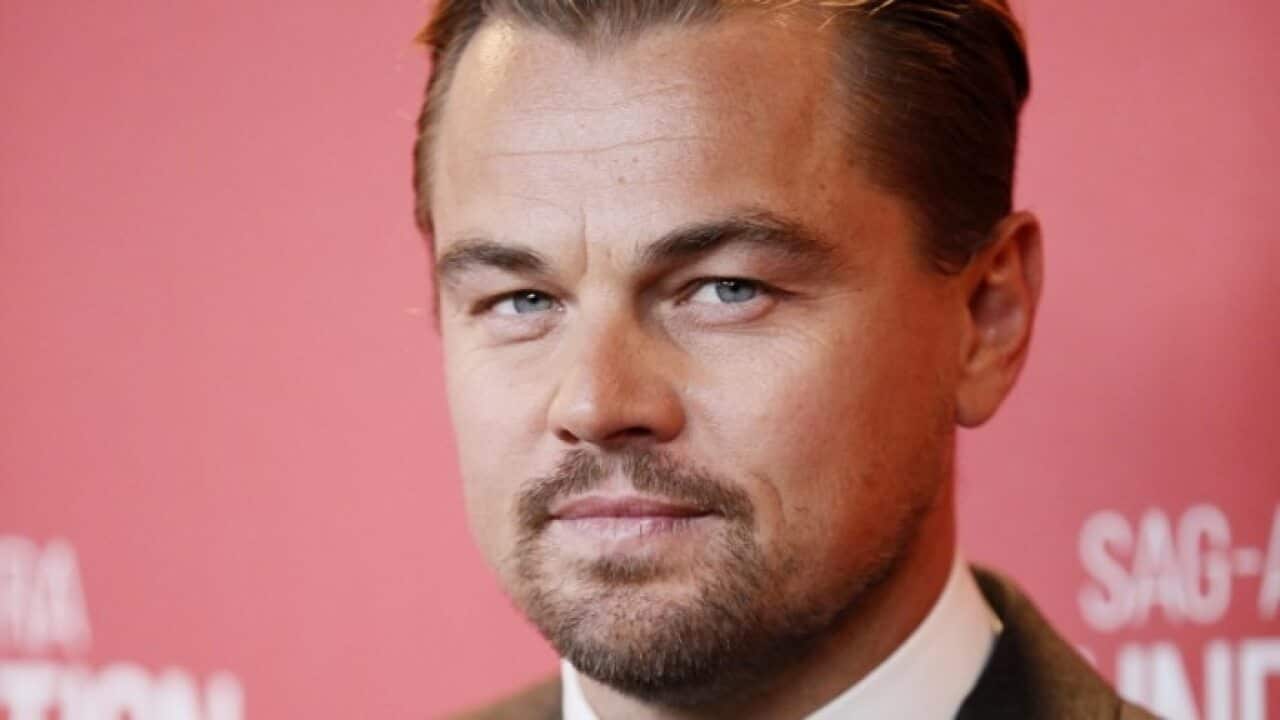 Leonardo DiCaprio.