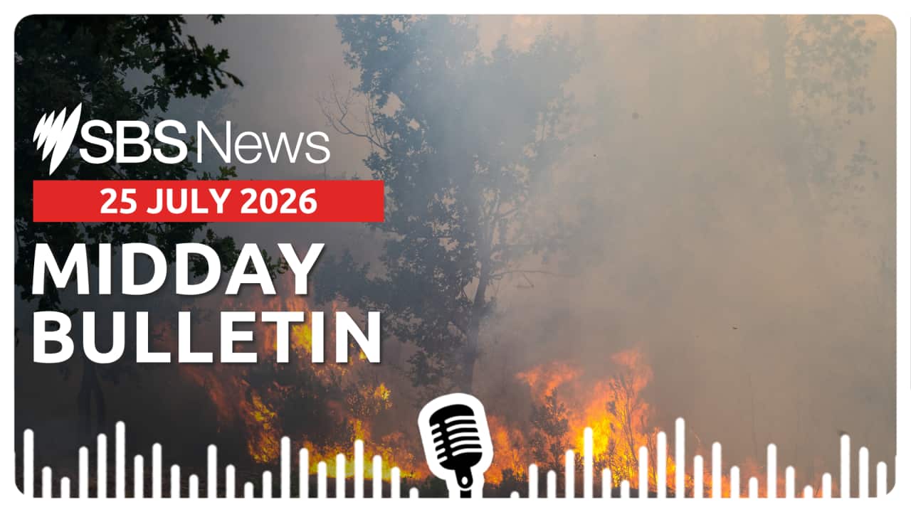 MIDDAY BULLETIN.png