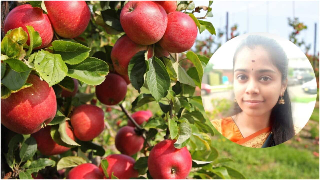 Bharathy Shanmugan.jpg