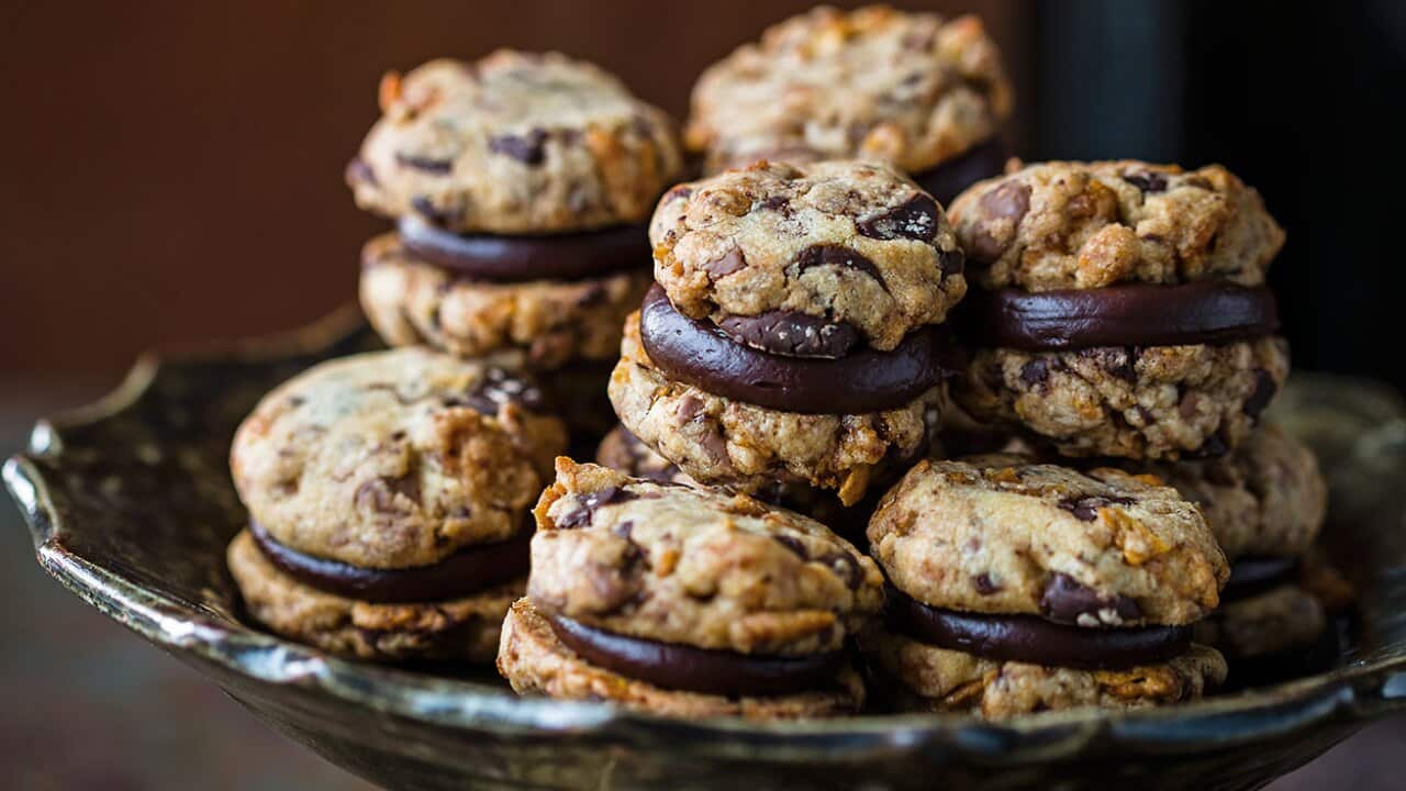 Decadent chocolate biscuits