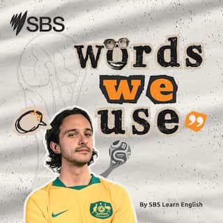 Words We Use - World Cup 2026