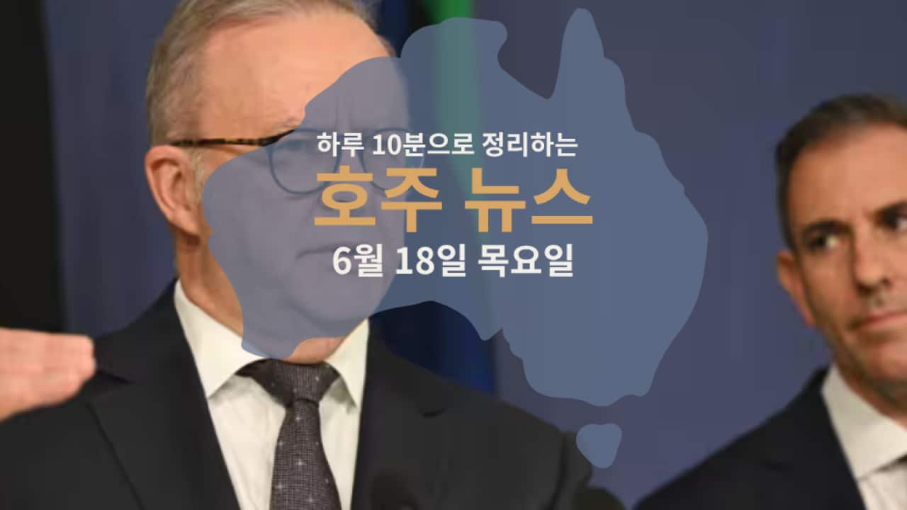 Daily News (3).png