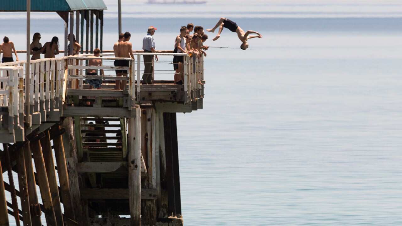 Jetty Jumpers escape the heat by cooling off at Henley Beach
