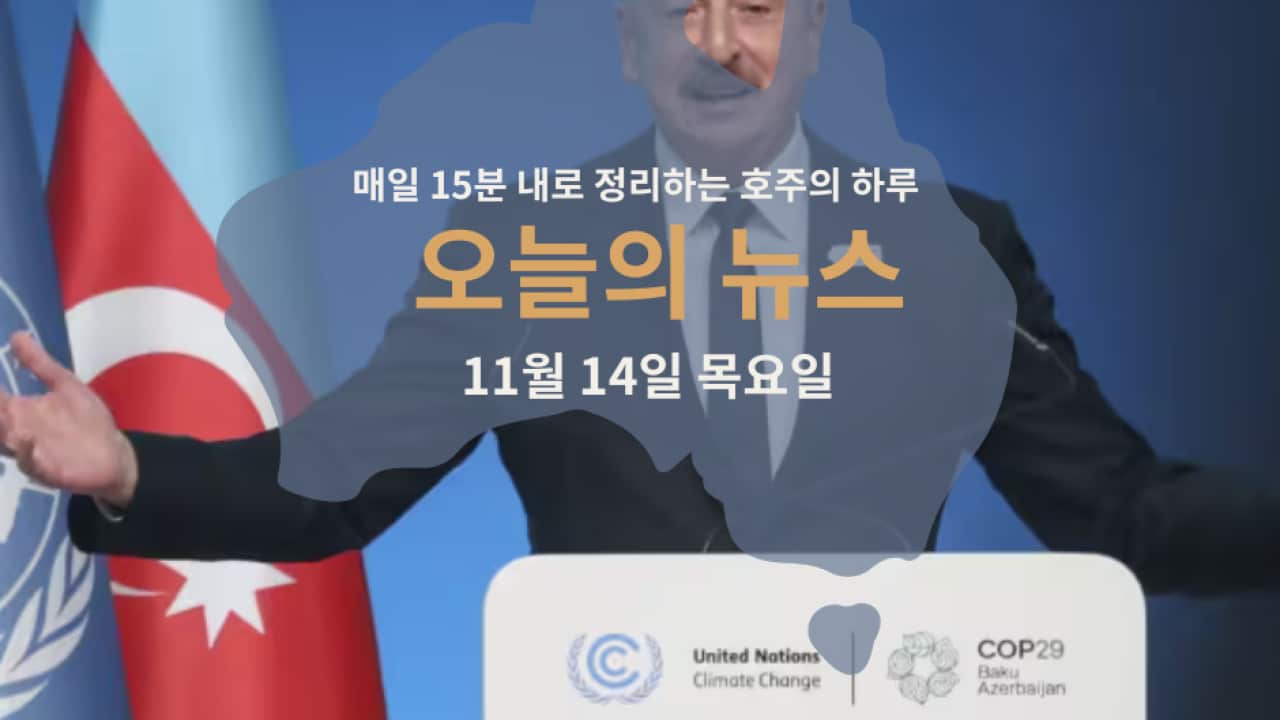 15news_web12 (1).png