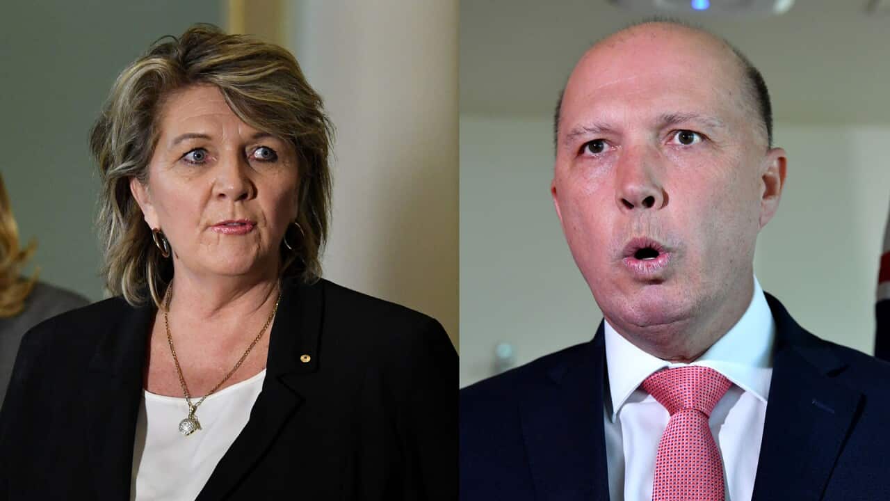 Bravehearts founder Hetty Johnston says Peter Dutton's proposed national register of child sex offenders is a political stunt.