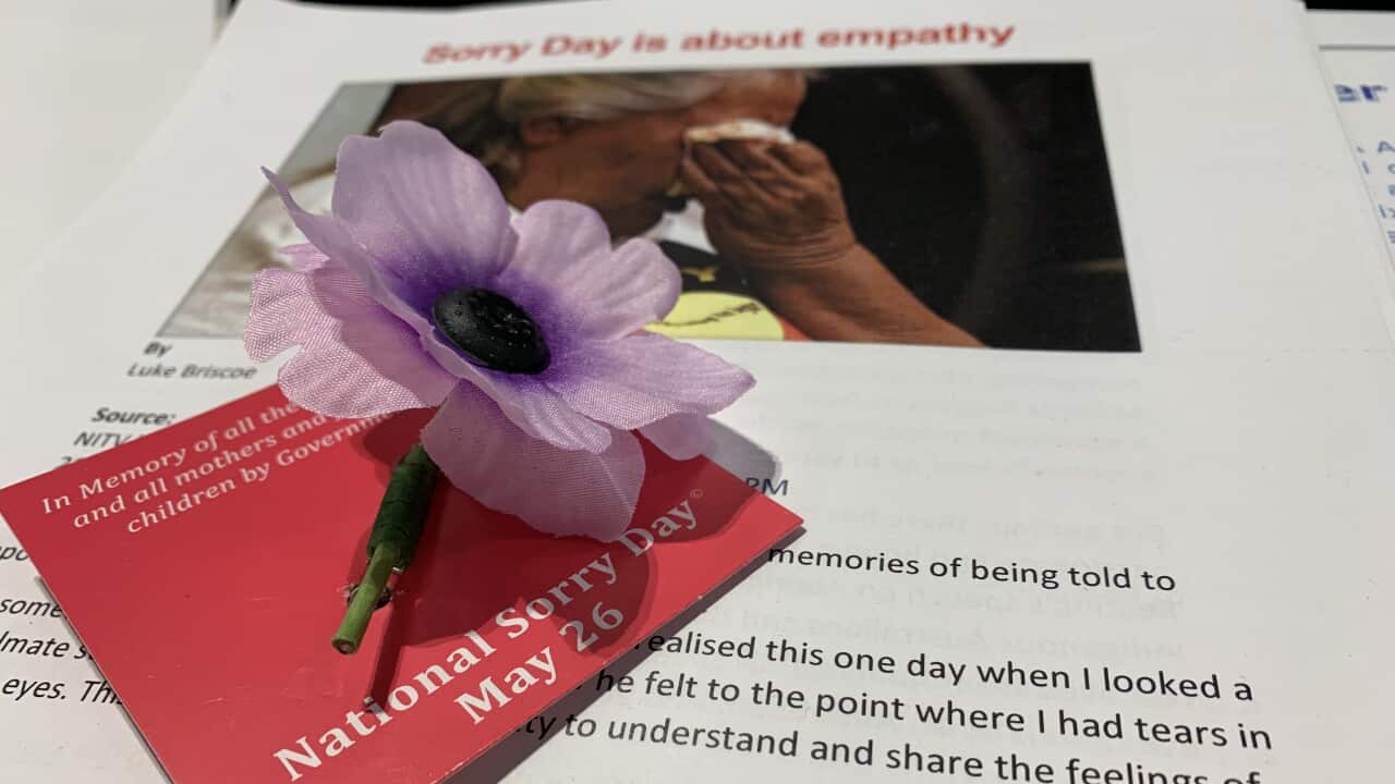 Hibiscus and National Sorry Day