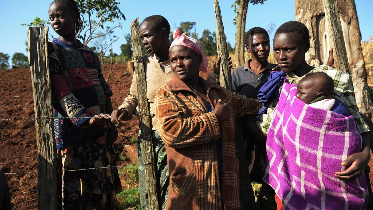 People on a hill side near cleared land