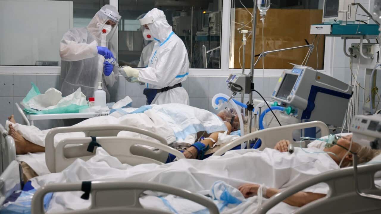 Image for read more article 'Veja também:'