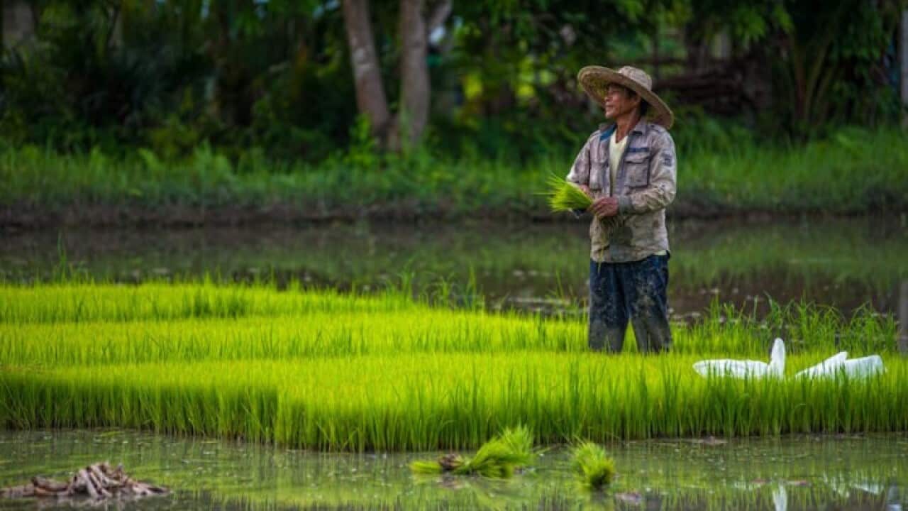 Philippine economy dives to its lowest level since 1946