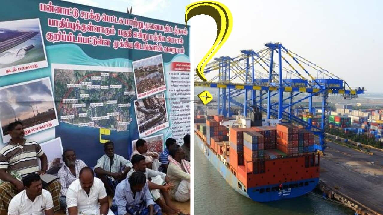 International Container Trans-shipment Terminal & Protest