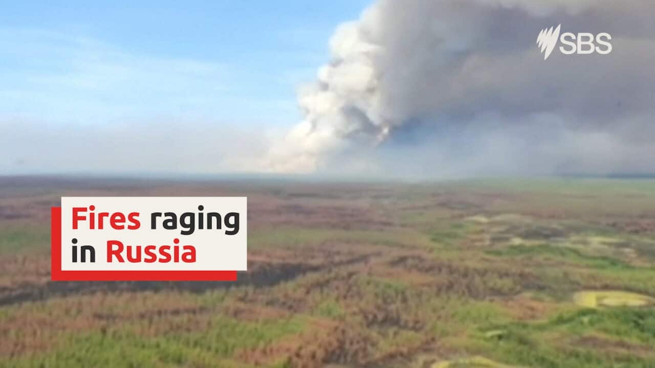 More than 100 forest fires continue in Russia