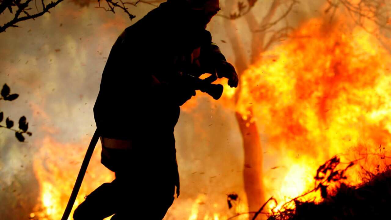 A fire fighter retreats from a forest fire near Fraldeu,Portugal