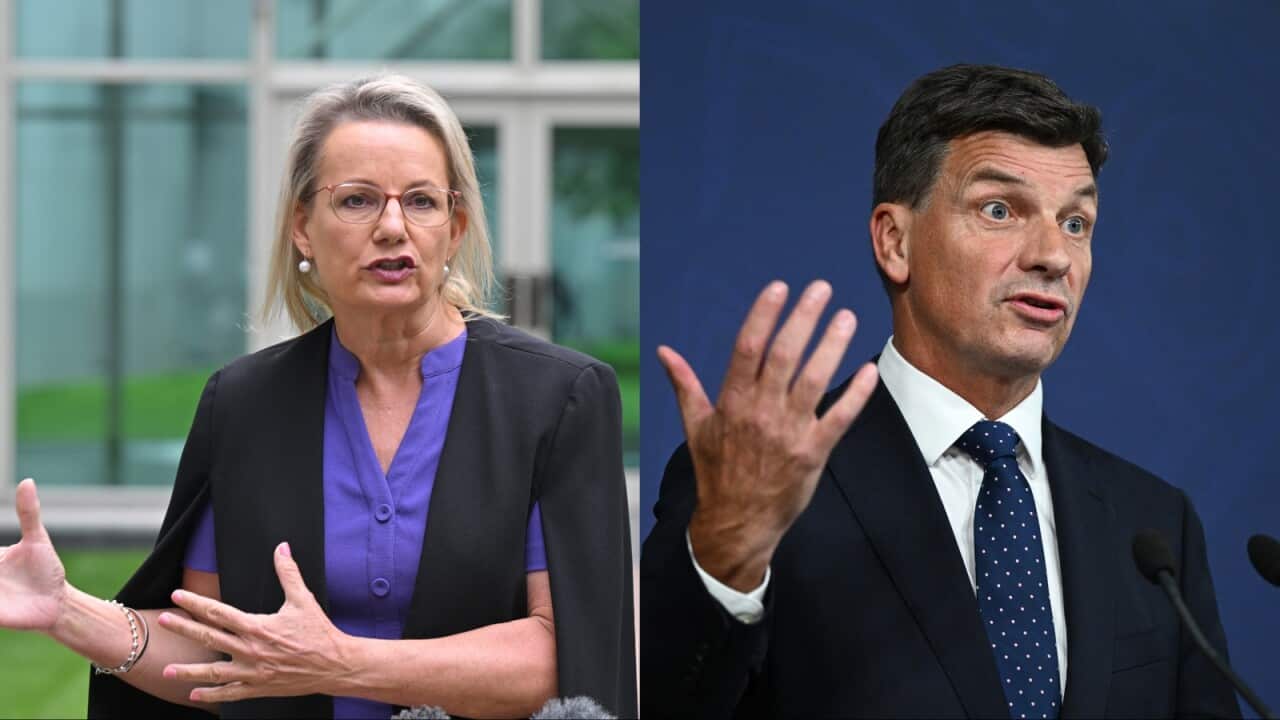 A split image of a woman on the left and a man on the right, both are gesturing while speaking.