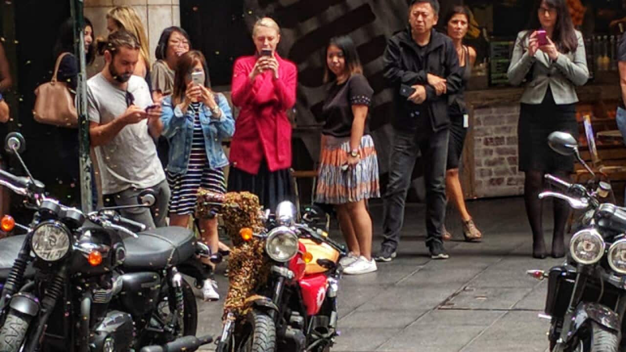 @tomeverin snapped this photo as it unfolded.. un-bee-lievable.