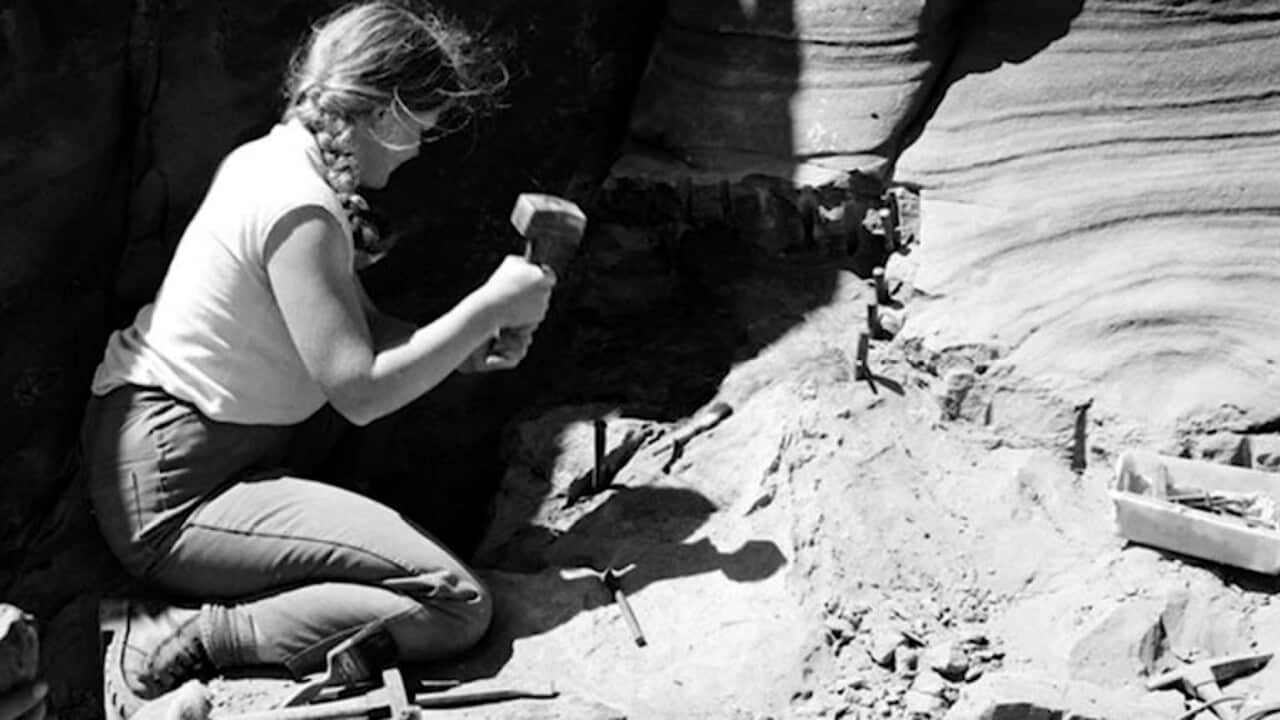 Unearthing the specimens at Dinosaur Cove in the 1980s (Supplied).jpg