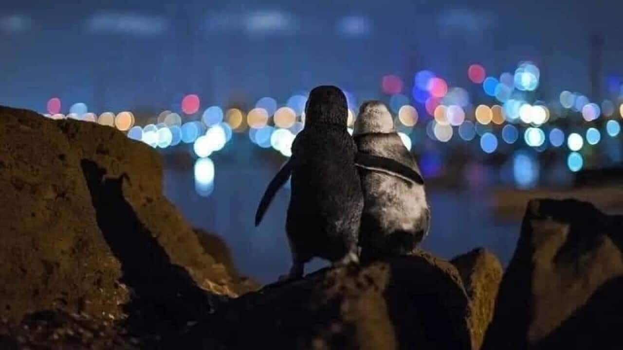 Image for read more article ''