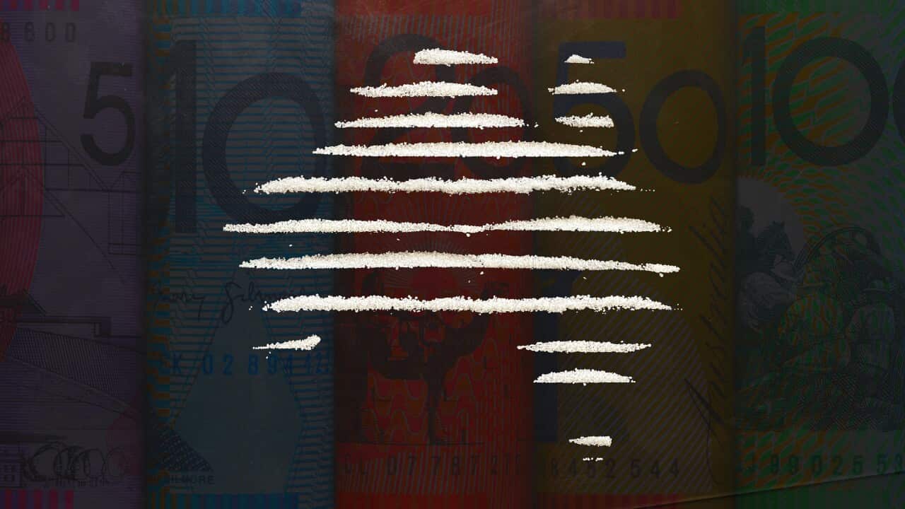 A picture of Australia made with white lines.