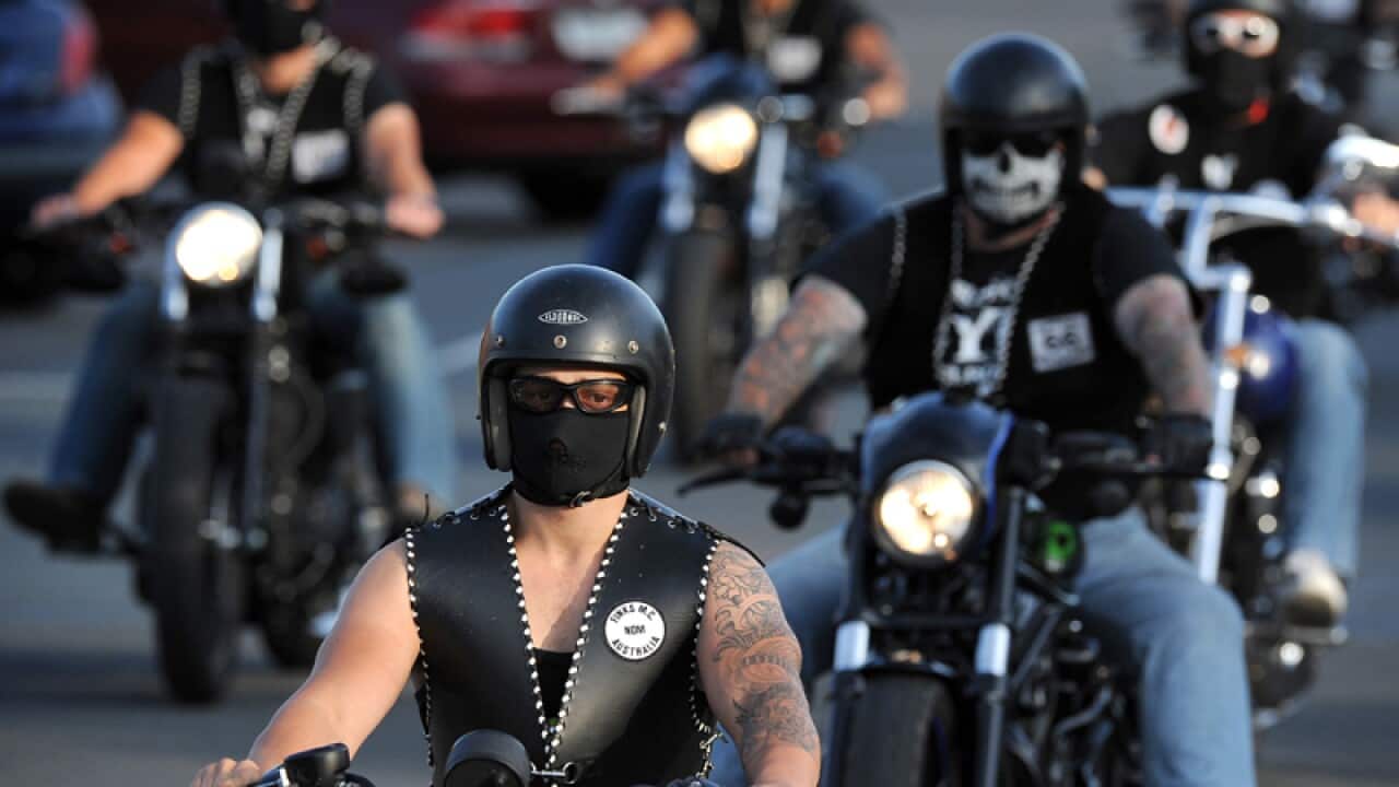 The finks motorcycle gang rides.