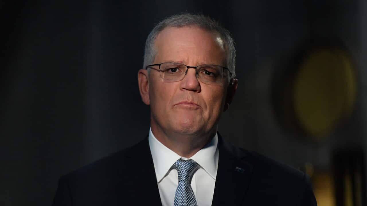 Close-up portrait of Scott Morrison wearing a suit with a blue tie, with a serious facial expression.