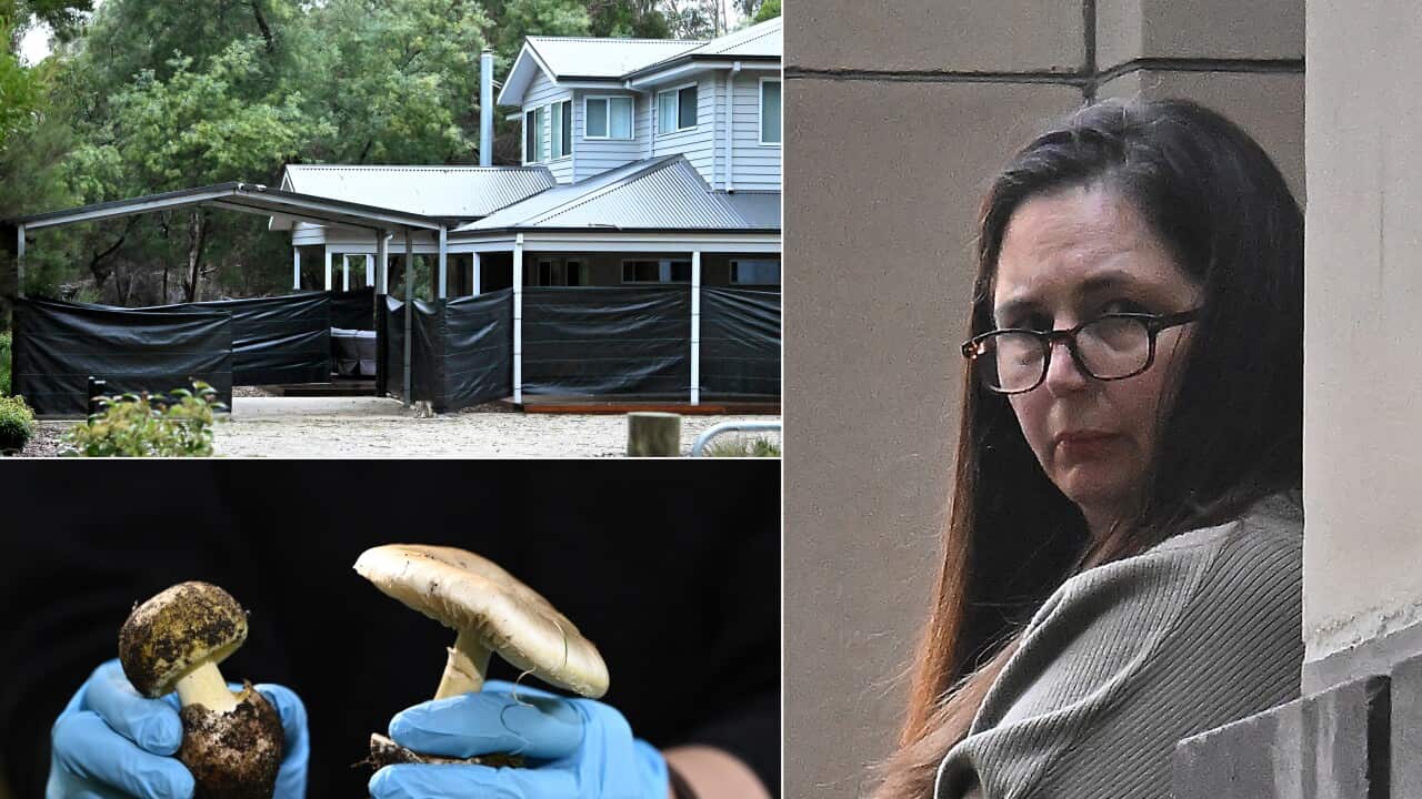 ERIN PATTERSON COURT