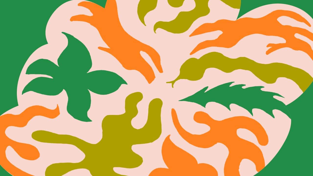 Image for read more article ''