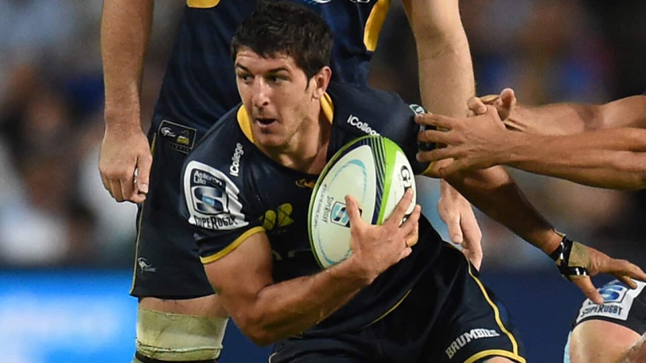 ACT Brumbies scrumhalf Tomas Cubelli