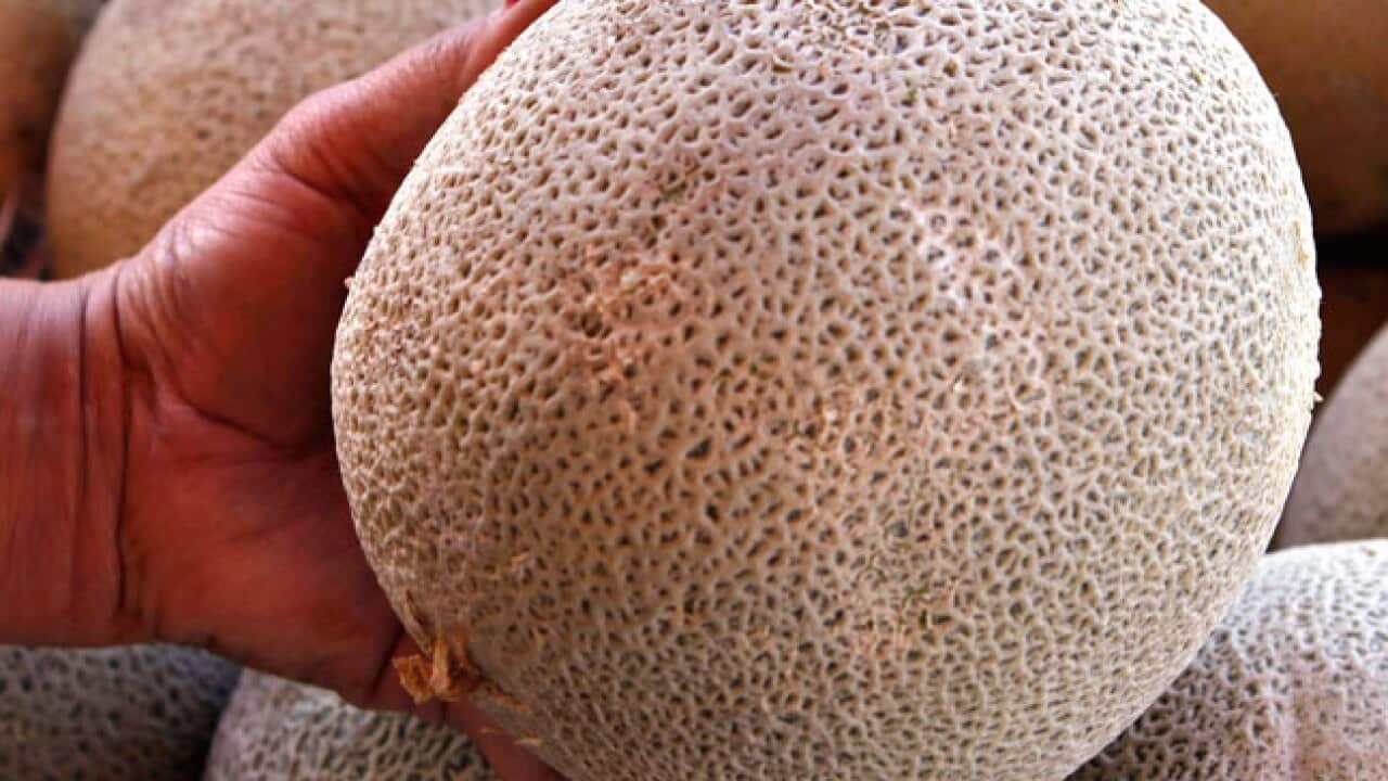 listeria_cantaloupe_b_110928_aap_57850397