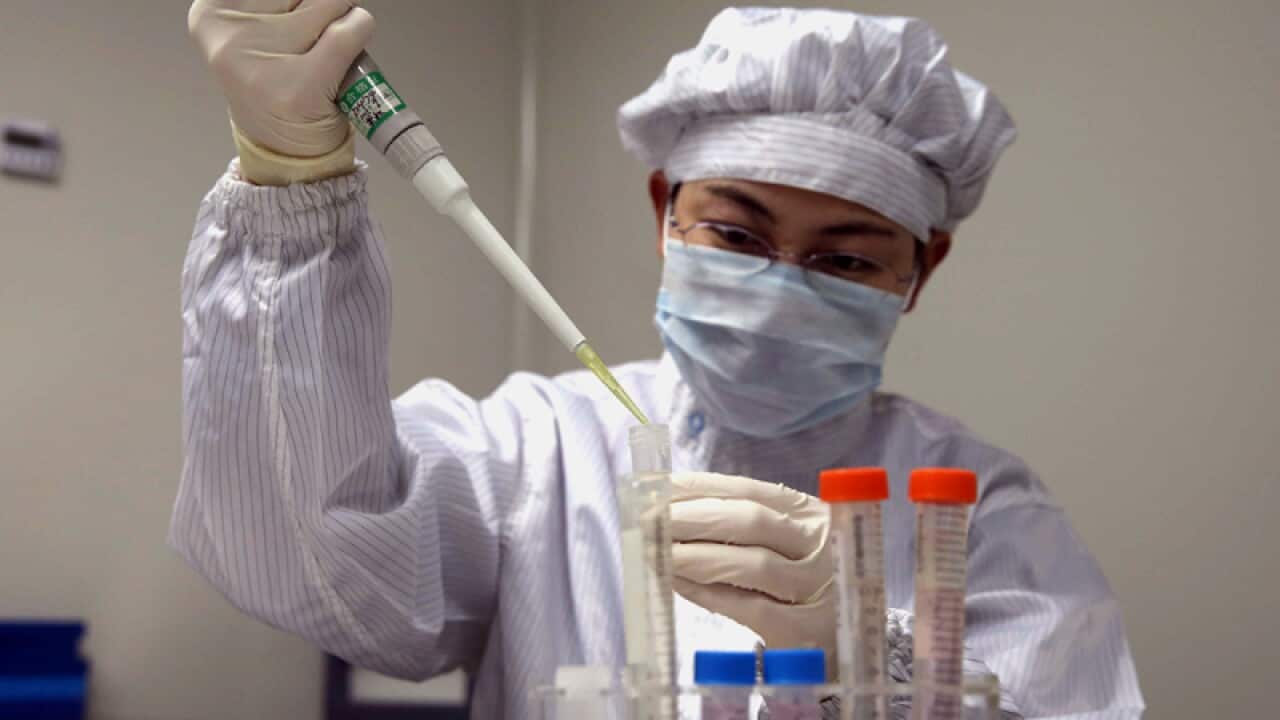 Aust test for deadly new bird flu strain