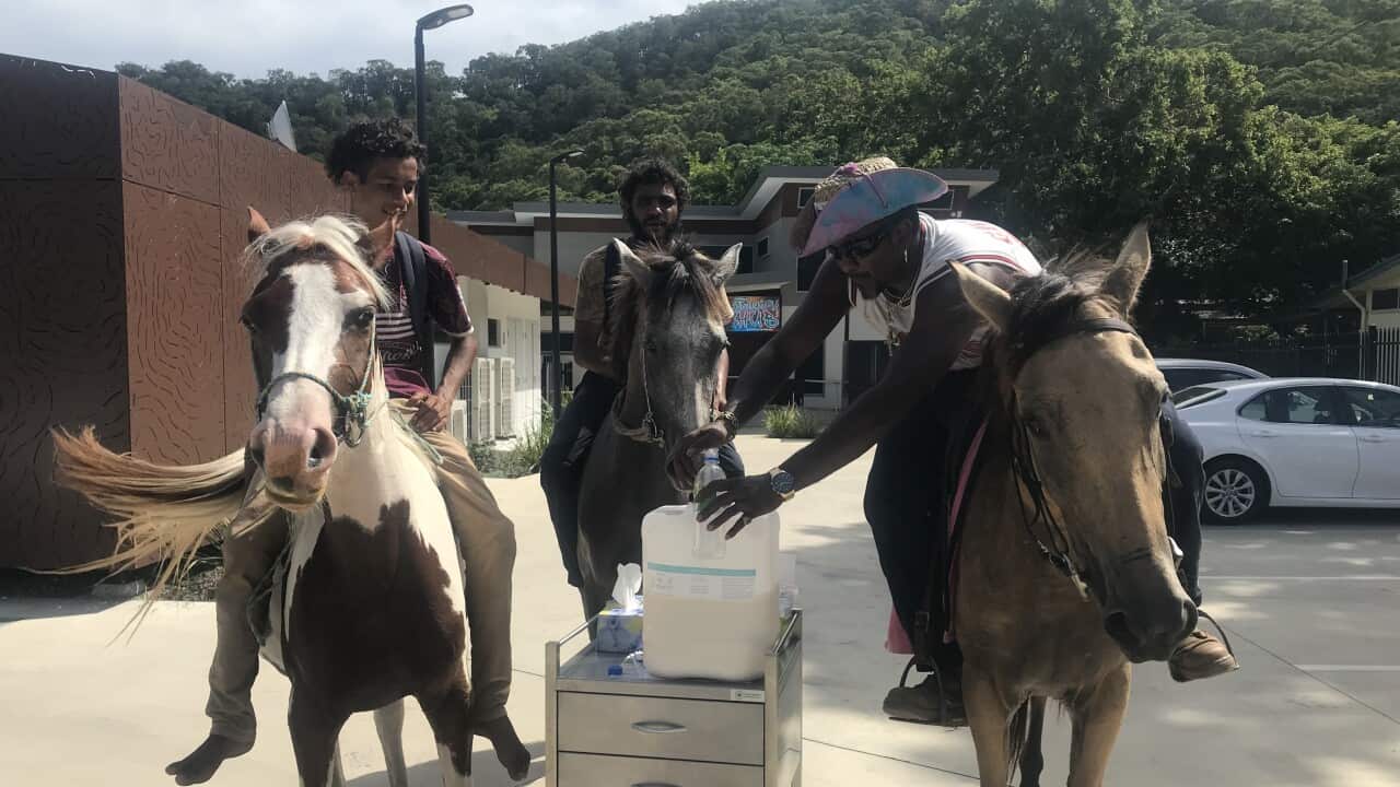 Horse refill station.jpeg