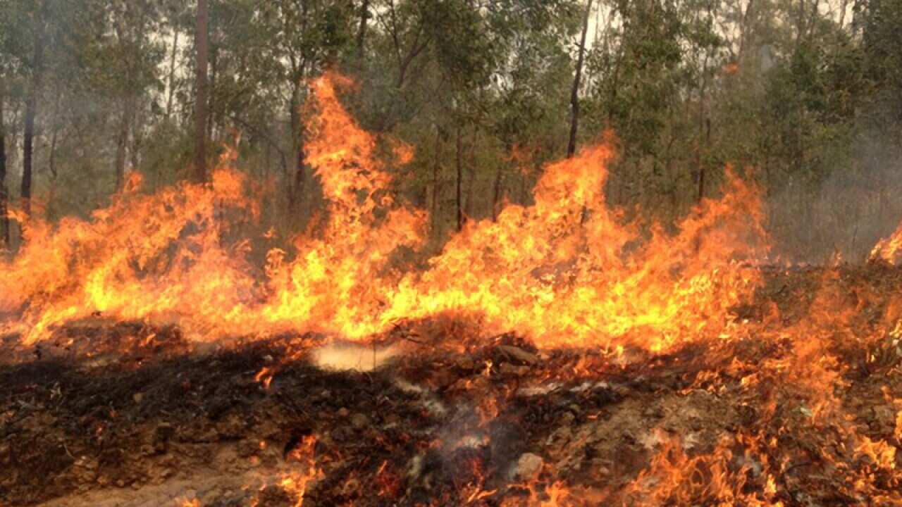 Two firefighters killed at Vic fire: union
