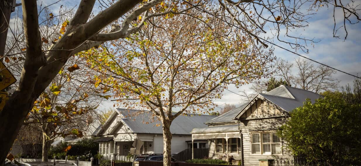 More Aussies became homeowners — and COVID may help explain why