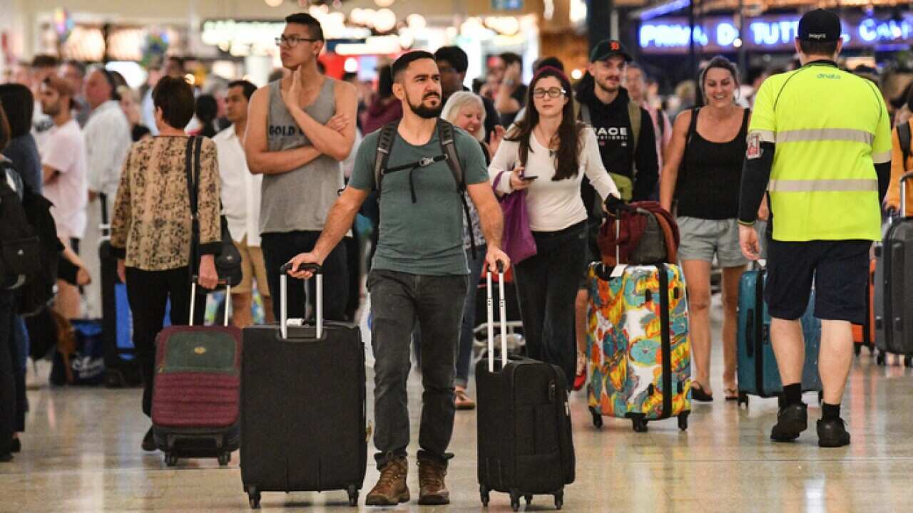 New arrivals at Sydney International Airport