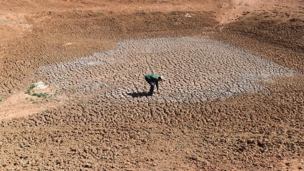 A pastoralist stands at the bottom of one of his empty dams.