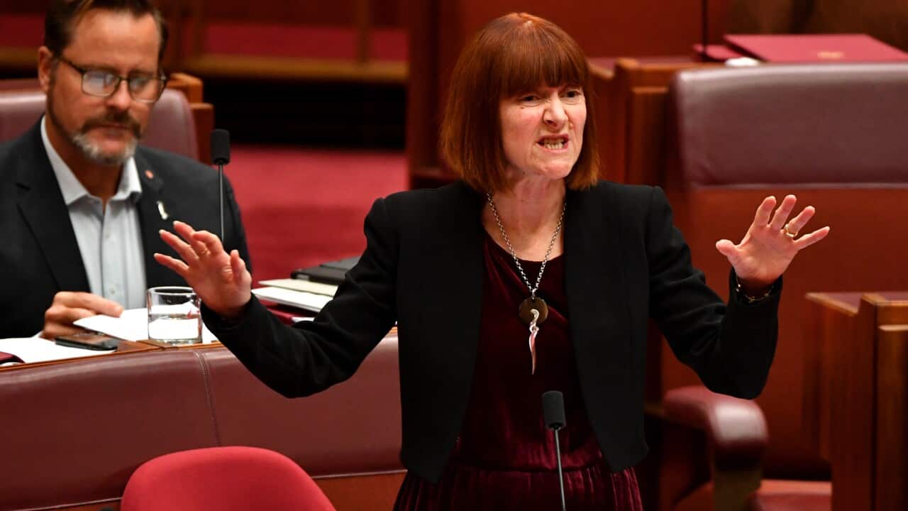 Greens Senator Rachel Siewert moved a private members bill to increase the Newstart payment by $75 a week.