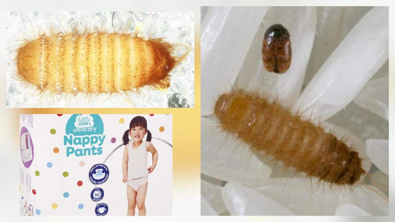 Image for read more article 'READ MORE'