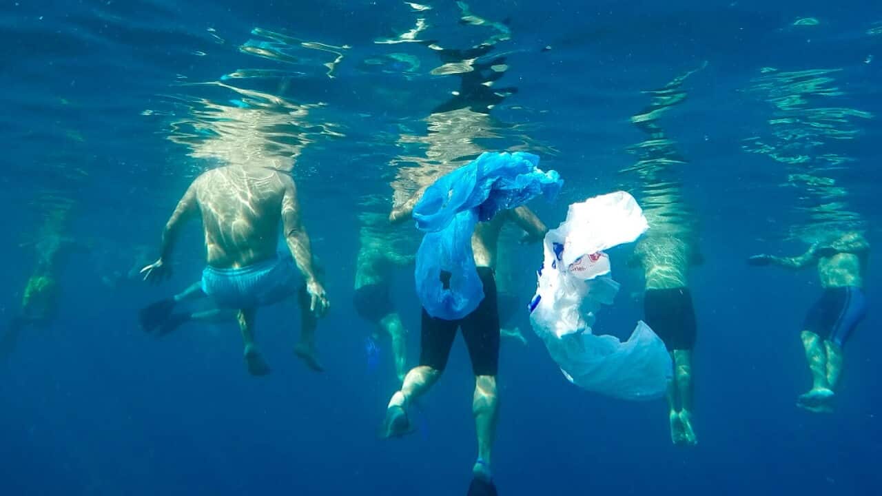 The supermarkets' plastic bag ban is having a positive impact, says the National Retail Association.