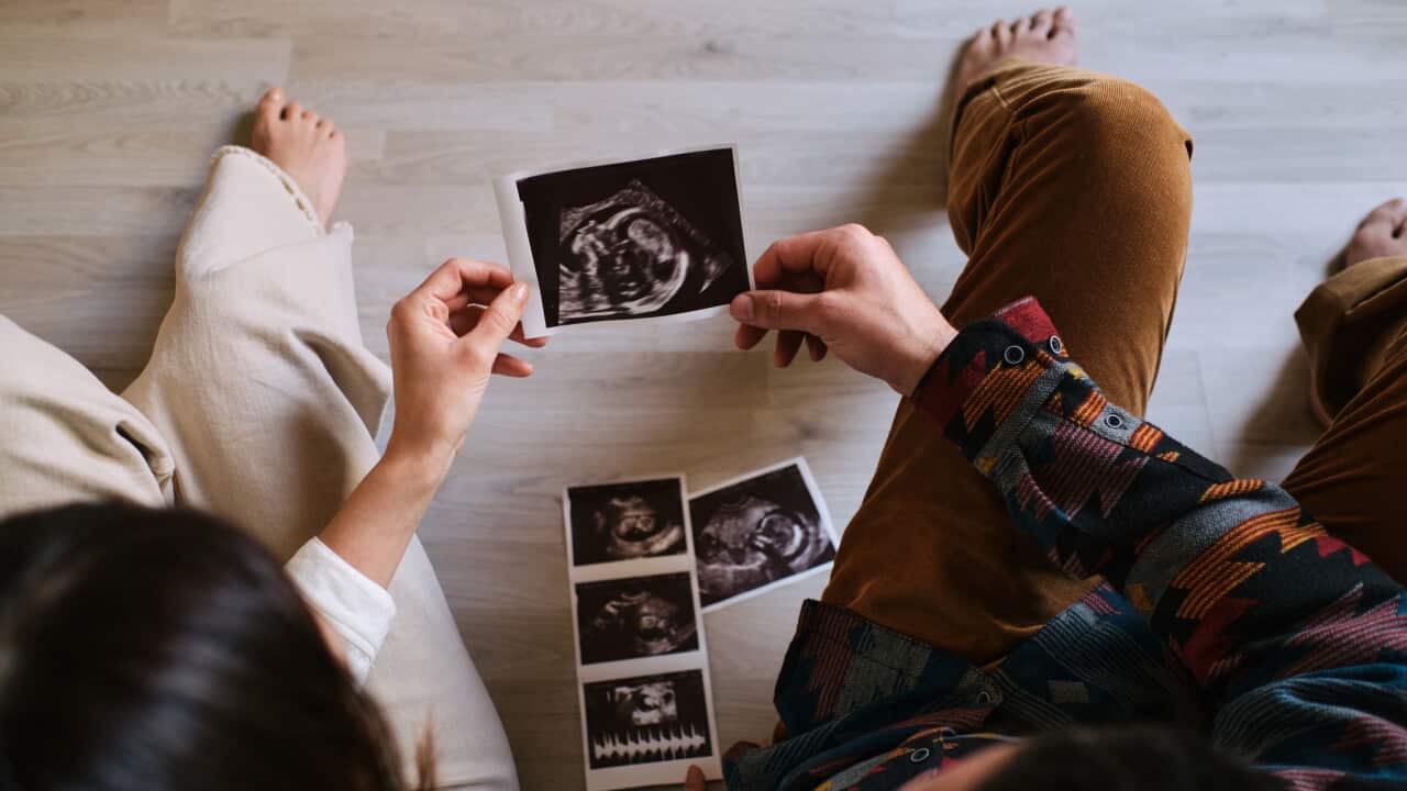 Coppia guarda un ultrasound
