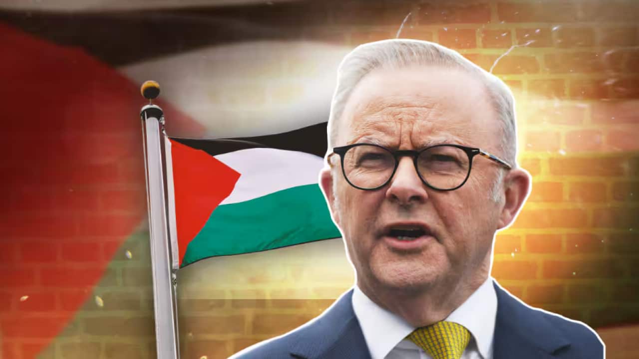 Prime Minister Anthony Albanese .png