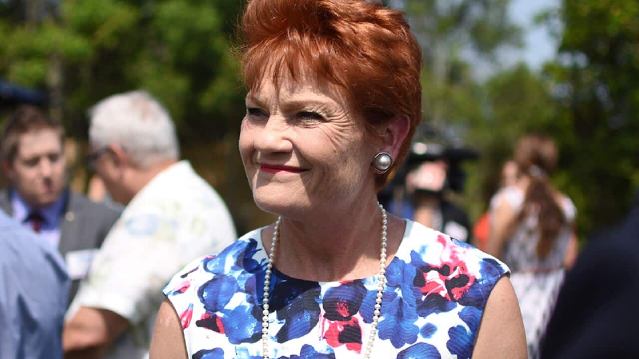 One Nation leader Pauline Hanson