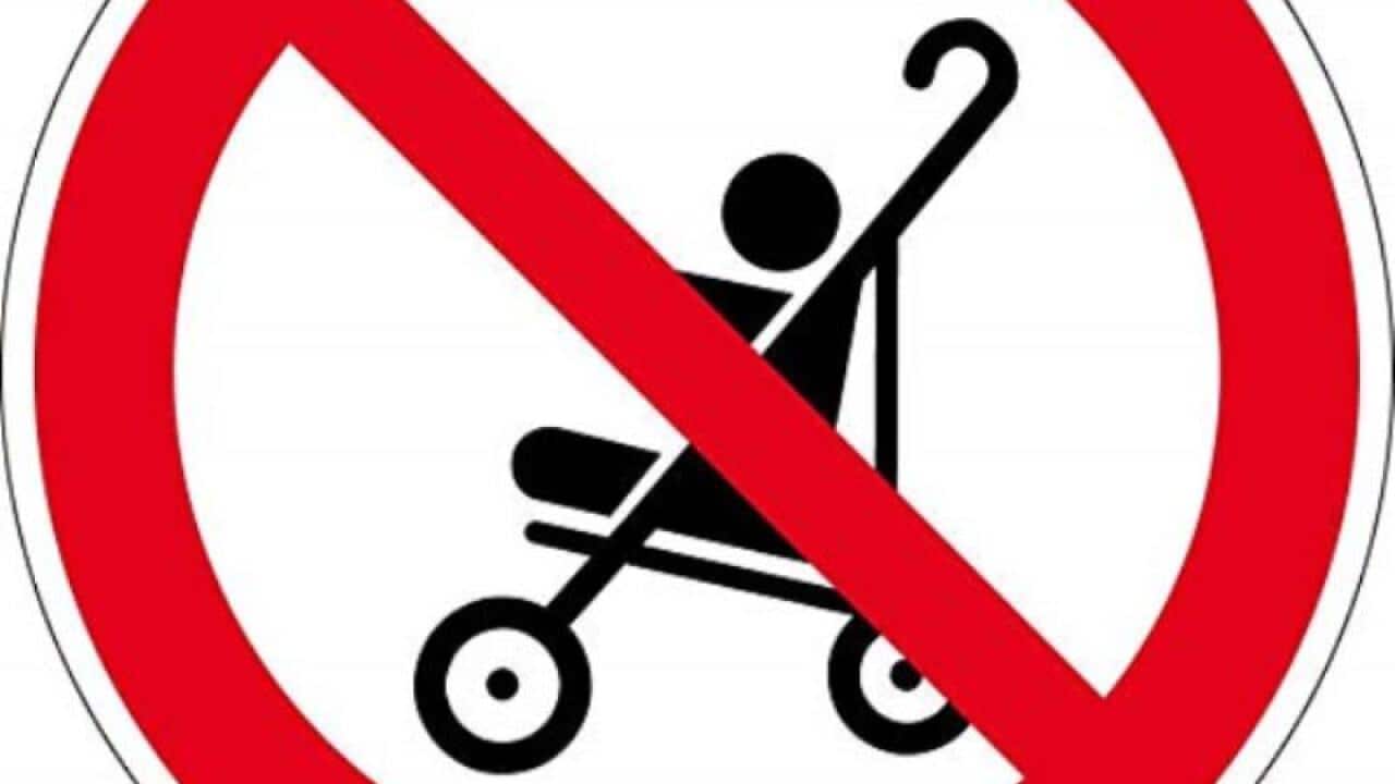 insel der blauen delfine kinderbuch verbannte kinderbücher lesen vorlesen literatur deutsch hanser dtv sauerländer